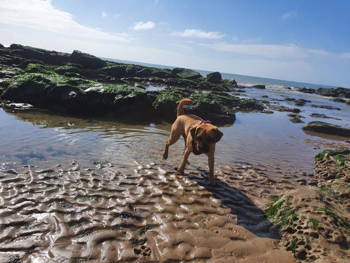 Beautiful Apartment 2 Mins To The Beach St Leonards-on-Sea ภายนอก รูปภาพ